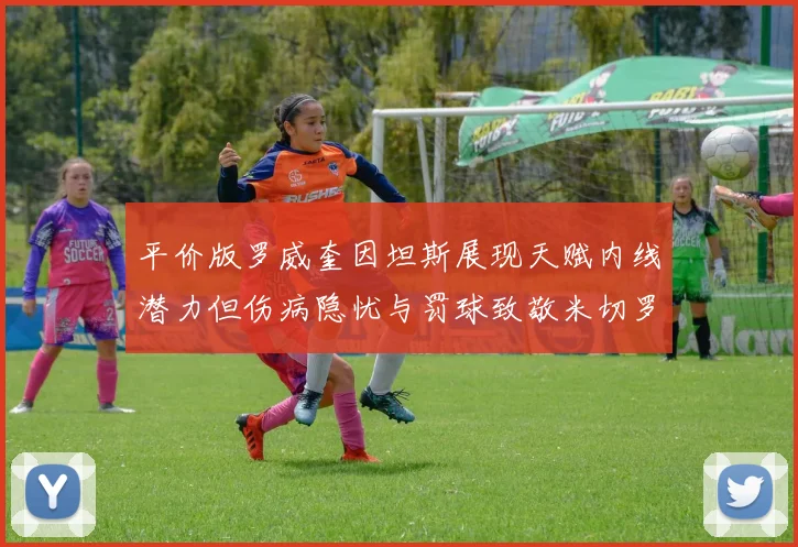 平价版罗威奎因坦斯展现天赋内线潜力但伤病隐忧与罚球致敬米切罗