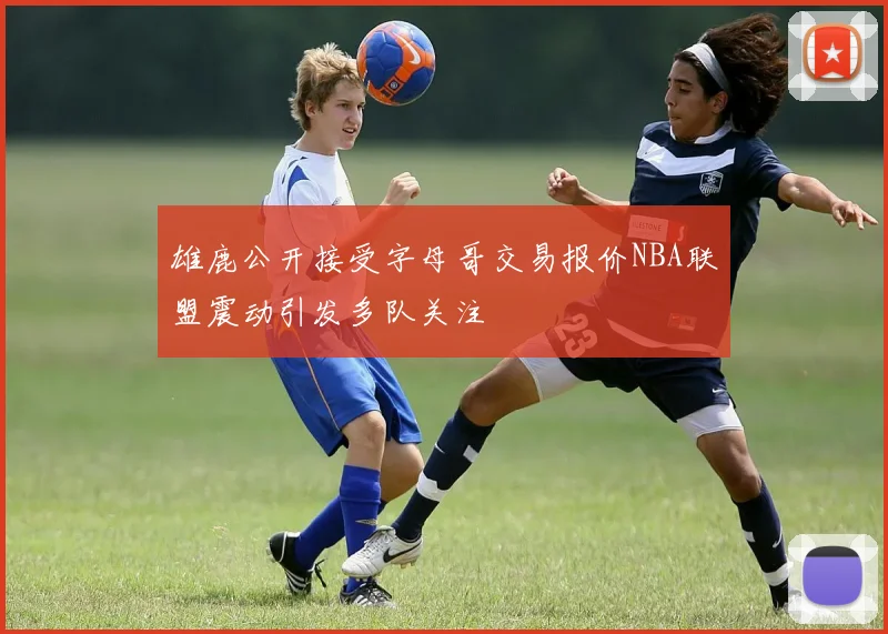雄鹿公开接受字母哥交易报价NBA联盟震动引发多队关注